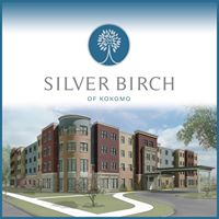 Silver Birch of Kokomo