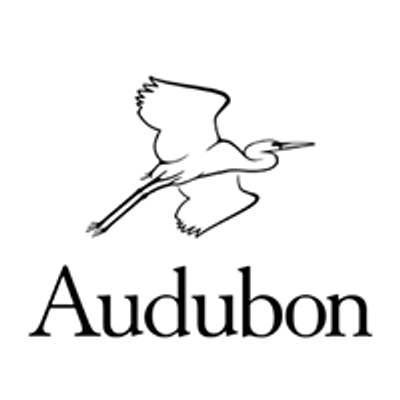 Audubon Texas