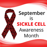 Sickle Cell Foundation Inc.