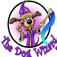 Greenville Dog Wizard