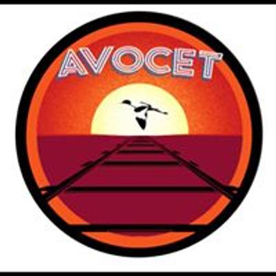 Avocet Rock\/Pop & Funk Band Devon