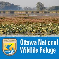 Ottawa National Wildlife Refuge