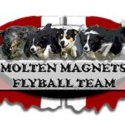 Molten Magnets Flyball Team