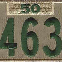 Boy Scout Troop 463, Sandy Springs, Georgia