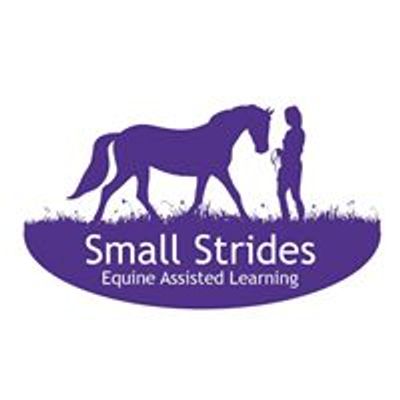 Small Strides CIC