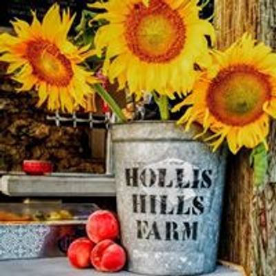 Hollis Hills Farm