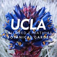 UCLA Mildred E. Mathias Botanical Garden