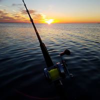 Middle Georgia Catfish Anglers