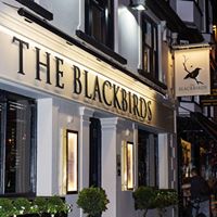 Blackbirds Hertford