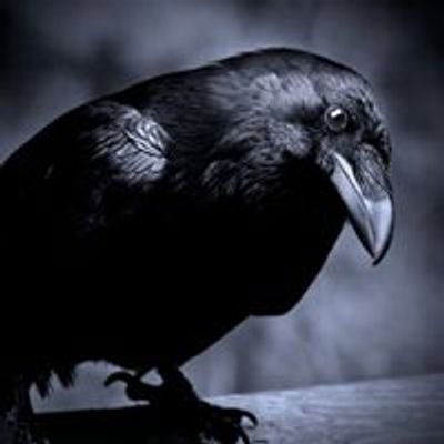 One Eyed Crow