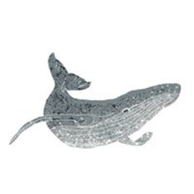 Balene in volo