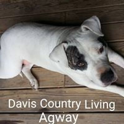 Davis Country Living Agway