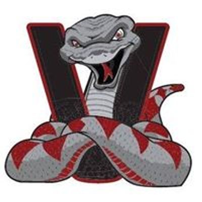 Val Vista Academy-Home of the Vipers