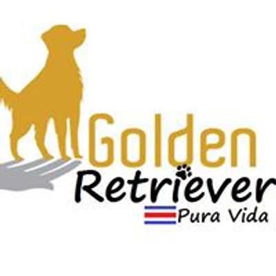 Golden Retriever Pura Vida Costa Rica