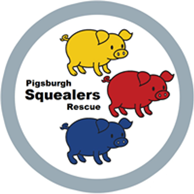 Pigsburgh Squealers Rescue