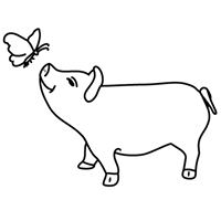 The butterfly and the pig