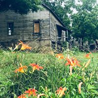 Henry River Mill Village