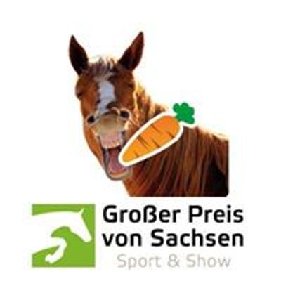 Gro\u00dfer Preis von Sachsen