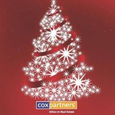 Cox Partners Christmas at the Park