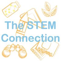 The STEM Connection