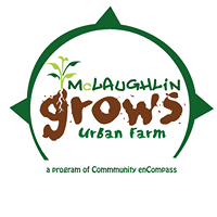 McLaughlin Grows Urban Farm