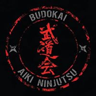 Budokai Martial Arts