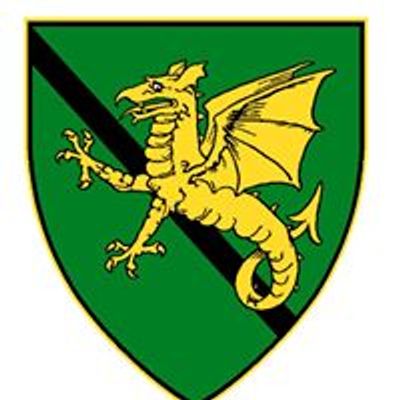Twin Cities Wyverns: Armored Combat League
