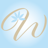 Lincoln Wedding Shows