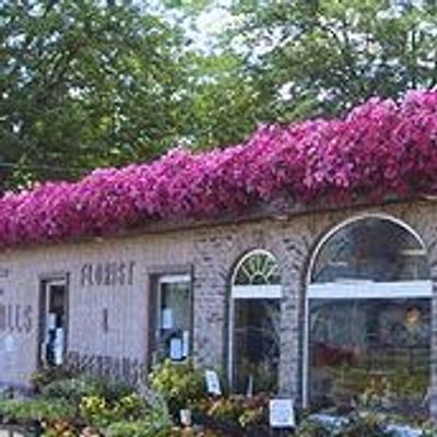 Falls Florist & Greenhouse