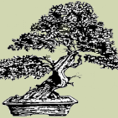 Quad City Bonsai