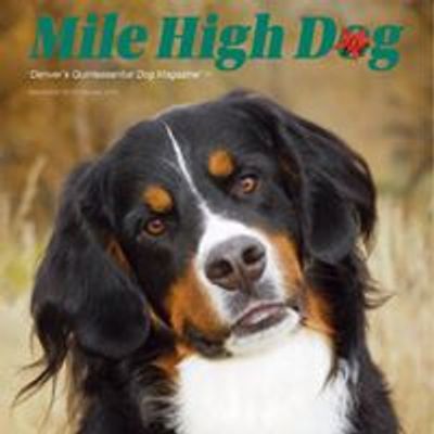 The Colorado Bernese Mountain Dog Meetup Group