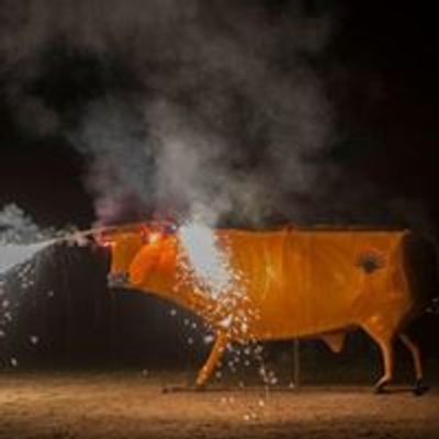 Dia de los Muertos & Burning of the Bull