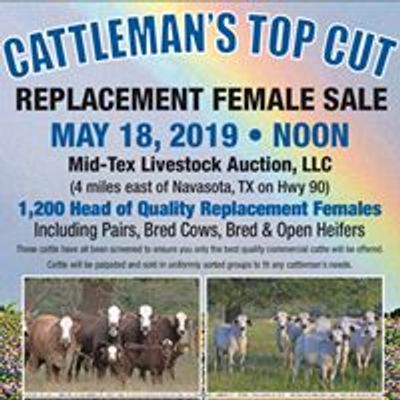 Johnson Cattle Marketing