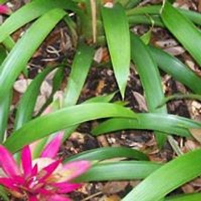Calusa Garden Club