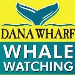 Dana Wharf Whale Watch