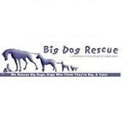 Tallahassee Big Dog Rescue