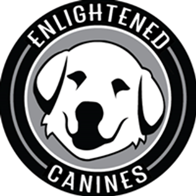 Enlightened Canines