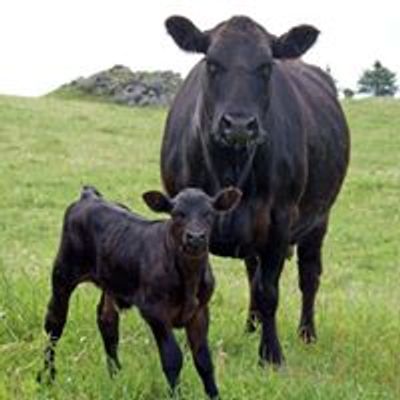 San Luis Obispo County Cattlemen's Association