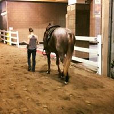 Phalen Equestrian Center and Horse Hotel