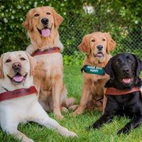 Guide Dogs of Hawai'i