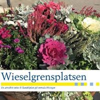 Wieselgrensplatsen