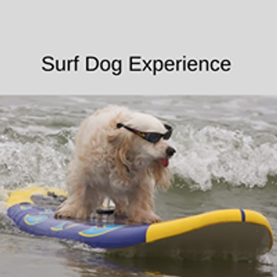 Surf Dog Experience