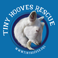 Tiny Hooves Rescue