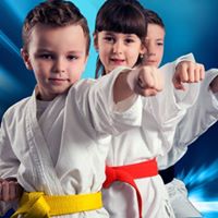 Dojo Martial Arts & Awesome Youth Sports