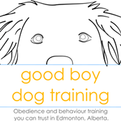 Good Boy Dog Training