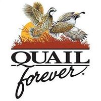 Smoky Mountain Quail Forever Chapter 3139