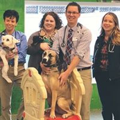 North Royalton Animal Hospital
