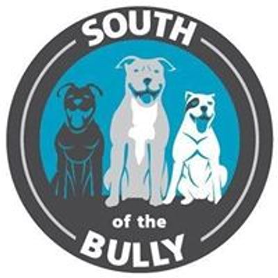 South of the Bully & Friends