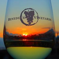 Beneduce Vineyards