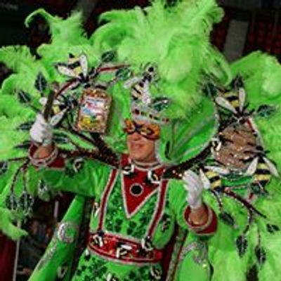 Mardi Gras of Southwest Louisiana